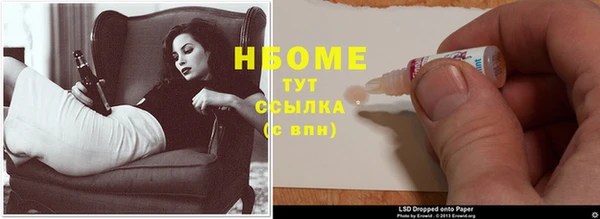 хмурый Нея