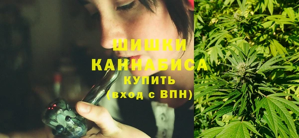 хмурый Нея