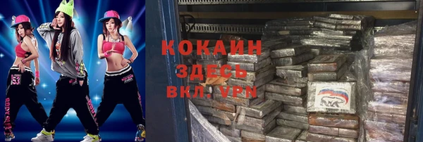 хмурый Нея